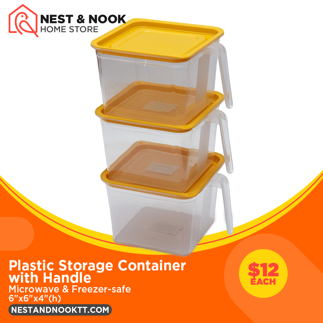 Plastic Storage Container with Handle