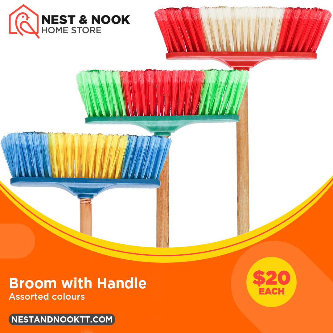 Broom with Handle